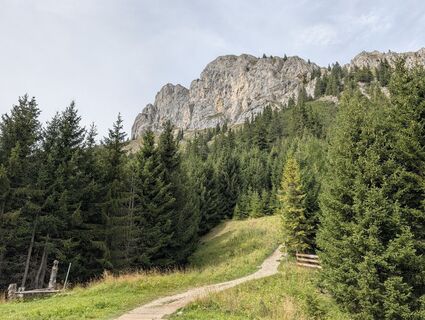 Photo de Arne Schlieder le long du parcours