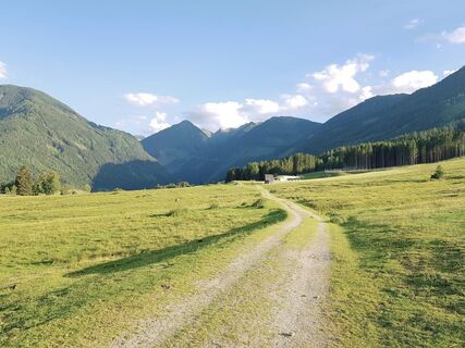 Die Rohrmooser Frei - eine Almwiese direkt in Rohrmoos