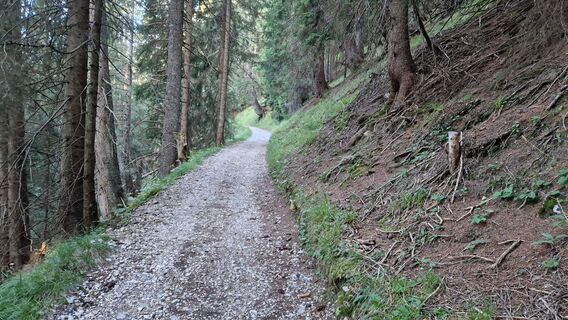 Aufstieg auf moderat ansteigendem Forstweg bis zum Brunnenkopfhaus.