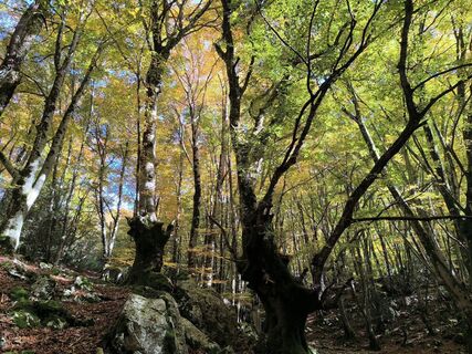 Foto de Gerry Girardi a lo largo del recorrido