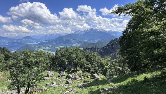 Foto von Mountain Cat ? ⛰️ entlang der Tour