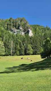 Foto von Claudia Maurer entlang der Tour