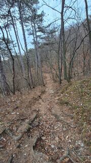 Photo de Regina Fleischmann le long du parcours