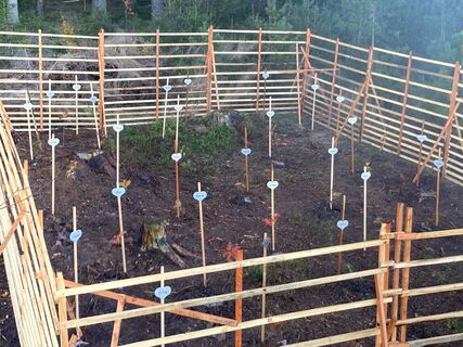 Waldkindergarten, angelegt vom Kindergarten Herschdorf . Jede Baumpflanze trägt den Namen des Kindes, von dem es gepflanzt wurde.