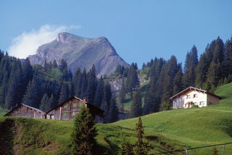 Rundweg Elsenalpe