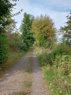 Weg bei Obermarsberg