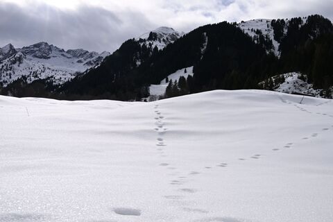 Fotografia z Steffen Nebe na trase