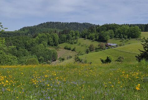 Fotografija s spletne strani Noreen (NoKe) na poti