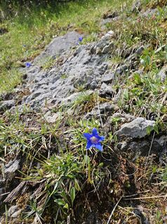 Foto von Mario Nöckl entlang der Tour