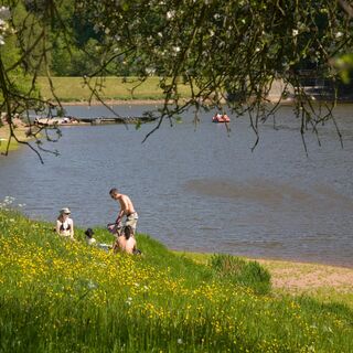 Gries/Pfalz - Idyllischer Ohmbachsee