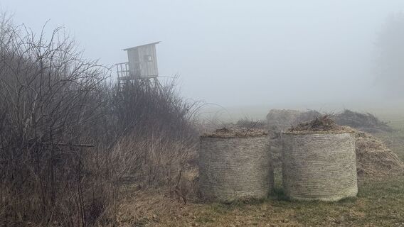 Foto de Wmorbach a lo largo del recorrido