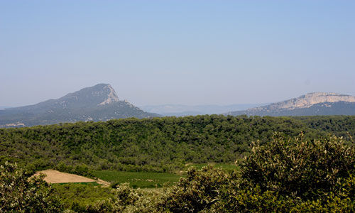 PR - DER KÖHLERPFAD