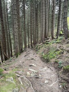 Photo de lightdesight le long du parcours