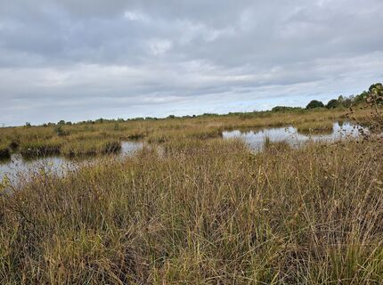 Foto von Angelika Gerung entlang der Tour