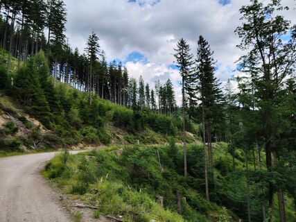 Foto de Žaneta Schelling a lo largo del recorrido