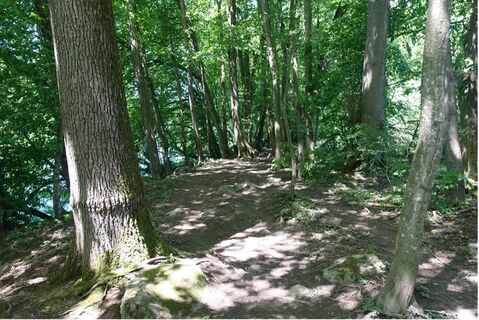 Limmatuferweg