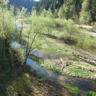 Rossgrabenbrücke auf Schwarzwasser - Bern nach Plaffeien