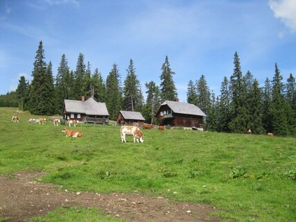 Waldheimhütte - Lavantsee - Zirbitzkogel