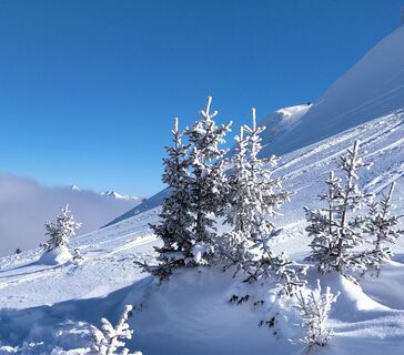 Frischer Pulverschnee