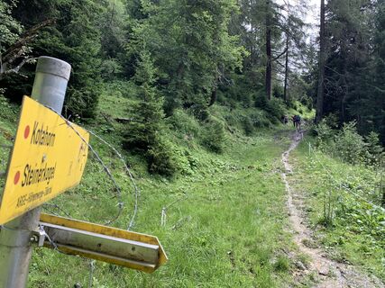 Fotografie z Koen De Wit na trase