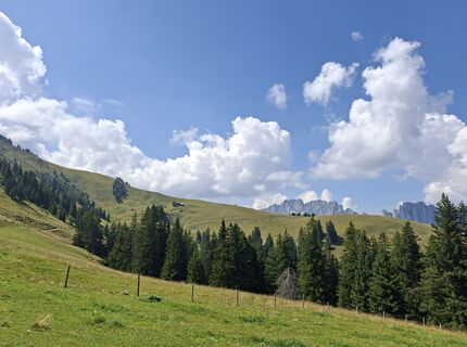 Fotografia z Pia na trase