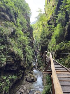 Photo de Marcel Zraunig le long du parcours
