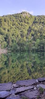 Fotografija s spletne strani Bernard Piat na poti