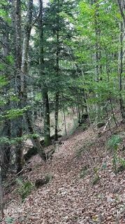 Fotografija s spletne strani Jacky belzung na poti