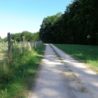 Höhenweg am Überlinger See
