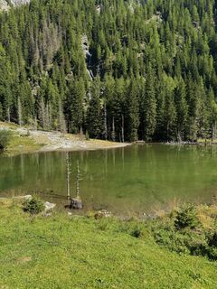 Fotografia z Alexander Schober na trase