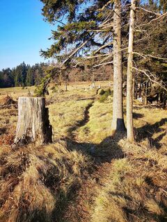 Foto de 3d63 ru^^n3r a lo largo del recorrido