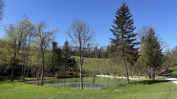 Fotografia z Peter Burki na trase