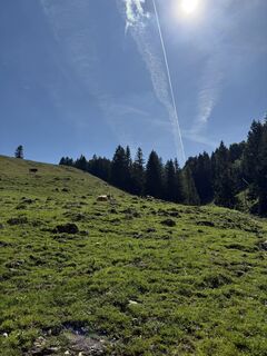 Foto von Lisawald2709 entlang der Tour