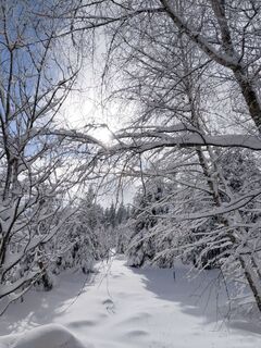 Photo de Wolfgang0 le long du parcours