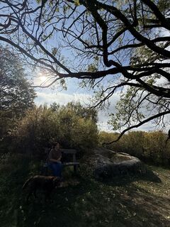 hirschblick strasse