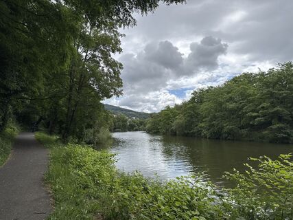 Foto von Tyx De entlang der Tour