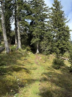 Foto von ChasquiRunner entlang der Tour