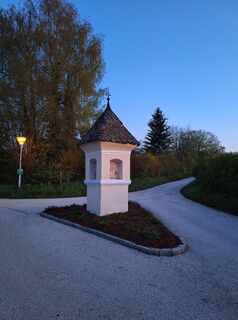 Fotografia z Dagmar Hofer na trase