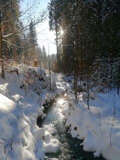 Foto de Ingo a lo largo del recorrido