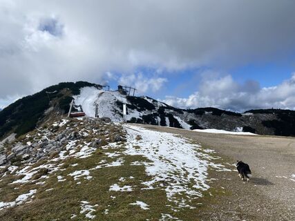 Fotografia z Florian Gerl na trase