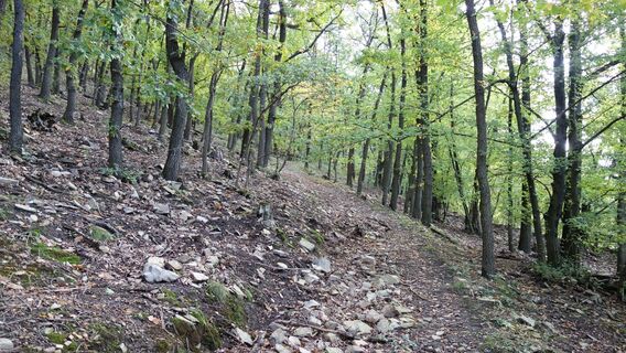 am "St.Georg" Weg hoch