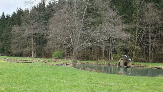 Teiche im Kurpark Nordenau