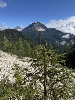 Photo de Gerti Hartmann 79 le long du parcours