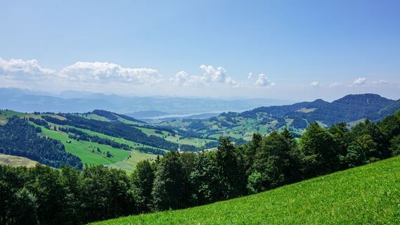 Toggenburger Höhenweg Etappe5 Blick Zürichsee