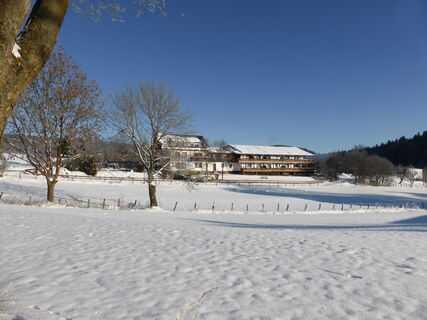 Winter in der Hasenkammer