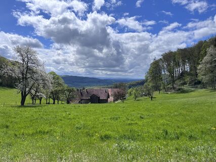 Фото с сайта Kathrin N. во время экскурсии