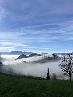 Fotografia z Aurelian Böhler na trase