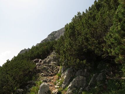 Scheffau_Aufstieg Scheffauer_Wilder Kaiser