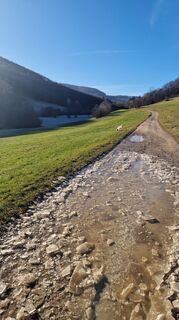 Photo de Claudia Maurer le long du parcours