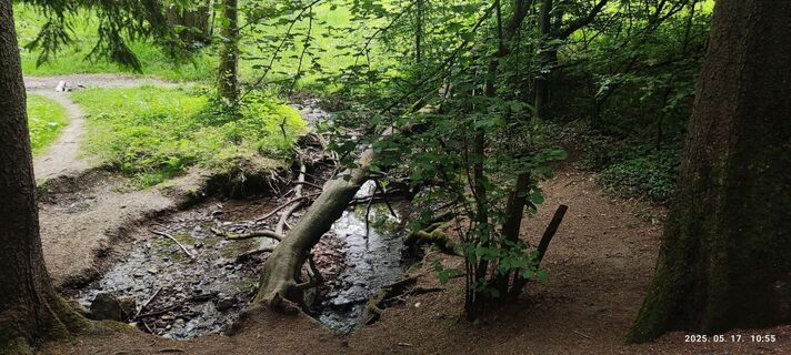 Zdjęcie z Edit Szoboszlay wzdłuż trasy